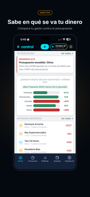 Cerebro Control — gastos